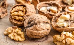 11 Surprising Facts About Walnuts